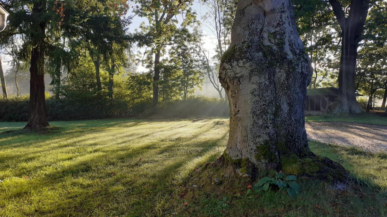 Resort Chribska Apartmany Adri Eksteriør bilde