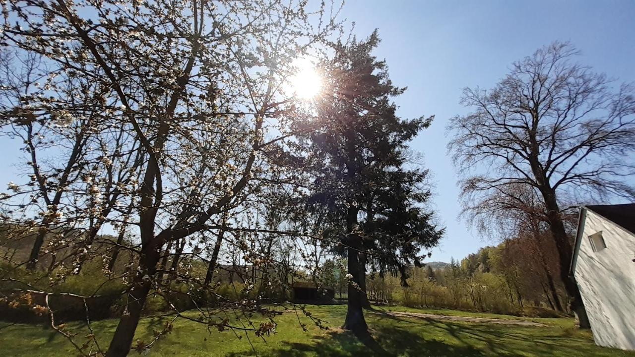 Resort Chribska Apartmany Adri Eksteriør bilde